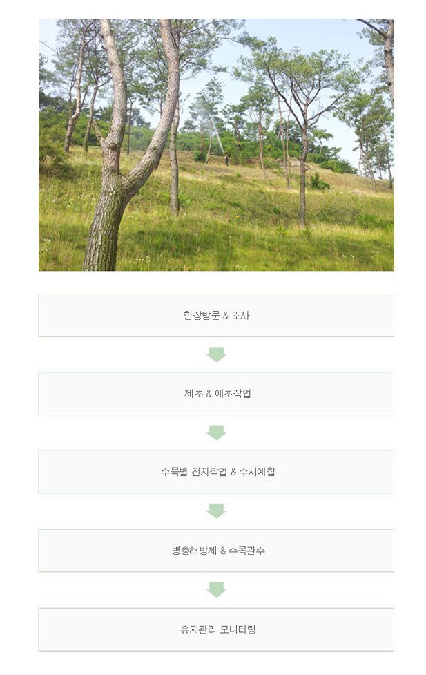 이미지명